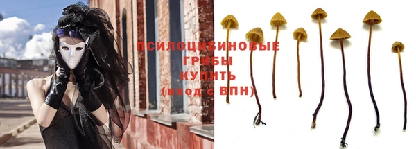 COCAINE Белокуриха