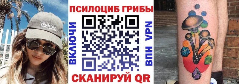блэк спрут сайт  где найти   Светлогорск  Галлюциногенные грибы Cubensis 