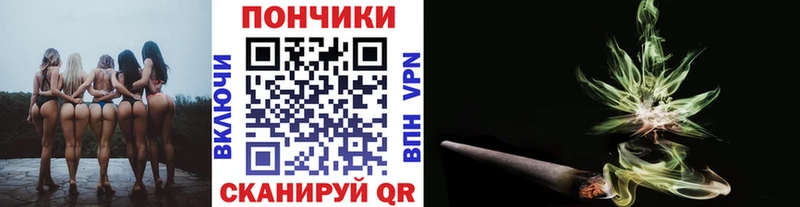 купить наркотик Светлогорск МАРИХУАНА конопля